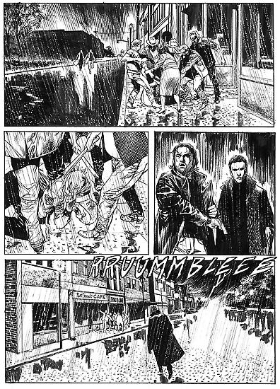 Tavole illustrate da Nicola Genzianella.