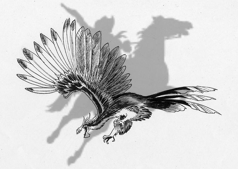 Progetto Viverne imperiali - disegni di Alfio Buscaglia.