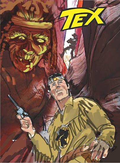 Proposte per la copertina del volume.