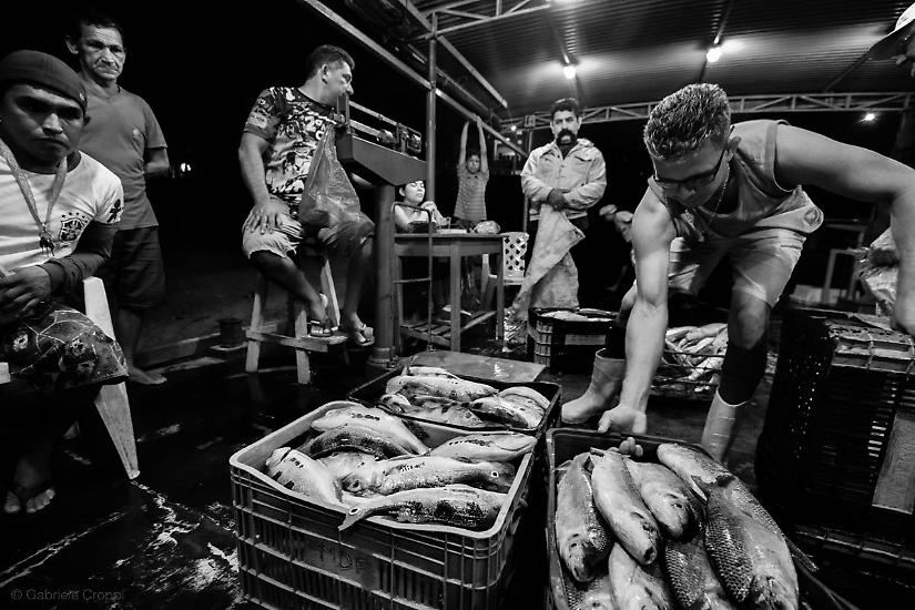 Santarém, Parà, Brasile Mercato del pesce