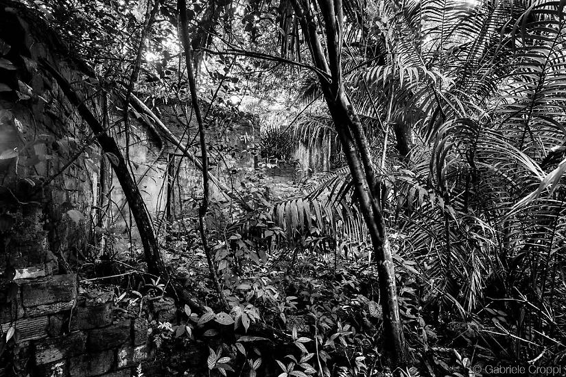 Velho Airão, città fantasma a Nord-Ovest di Manaus lungo il corso del Rio Negro.