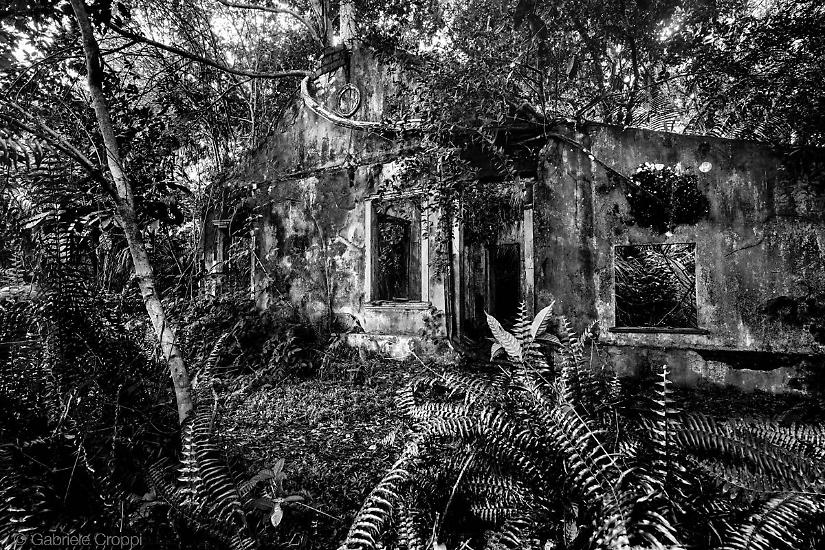 Velho Airão, città fantasma a Nord-Ovest di Manaus lungo il corso del Rio Negro.