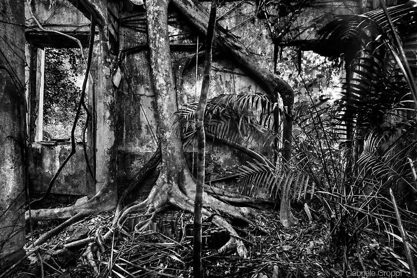 Velho Airão, città fantasma a Nord-Ovest di Manaus lungo il corso del Rio Negro.