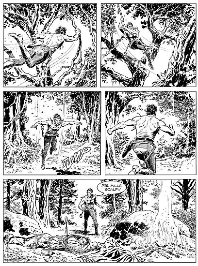 Una tavola di Raffaele Della Monica da "I racconti di Darkwood", Maxi Zagor n. 31. Testi di Moreno Burattini.