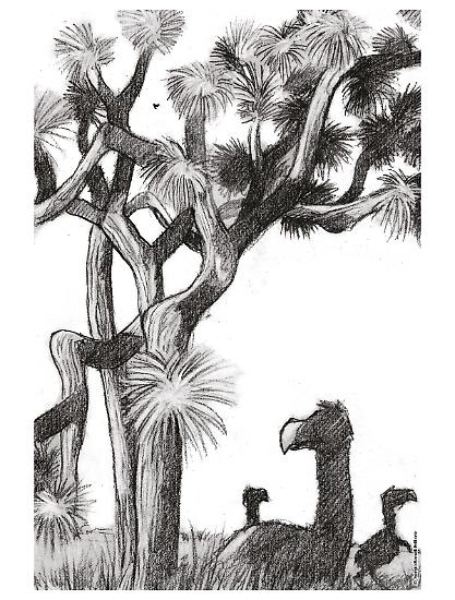 Una pagina illustrata tratta dal Taccuino di Dragonero.