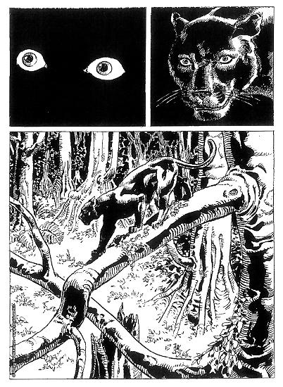 Anteprima Mister No 2020 - Disegni di Roberto Diso.