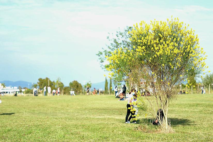 Uno scorcio del Parco dei Fumetti