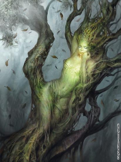 Un'illustrazione di Paolo Barbieri da "Favole degli dei - Eroi, Creature e Divinità della Mitologia Greca".