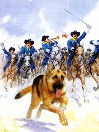 Qua la zampa Rin Tin Tin