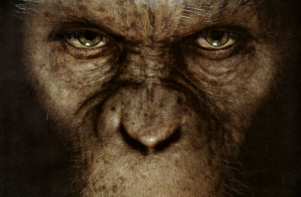 Uno Scimpanzè ci dominerà!