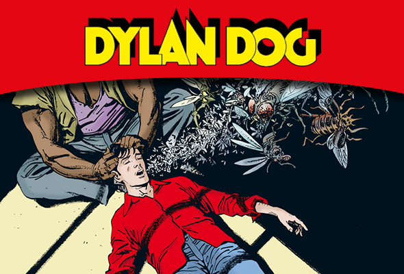 Collezione storica a colori