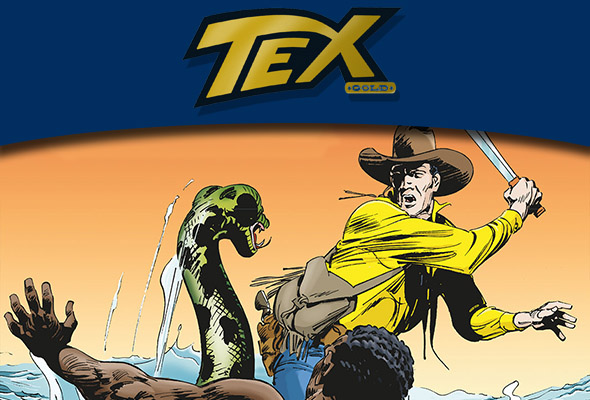 Collezione storica a colori