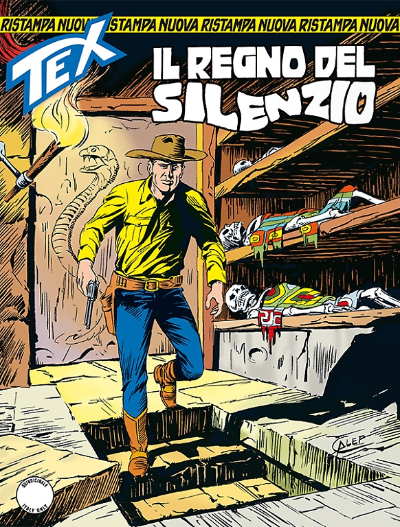 Il regno del silenzio