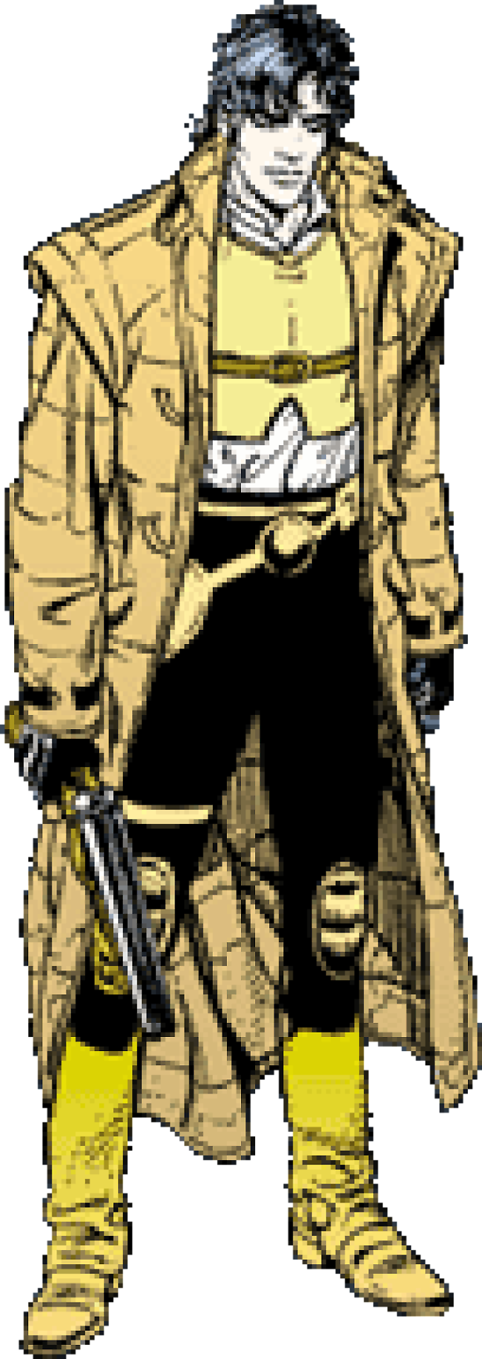 Pubblicazioni a fumetti