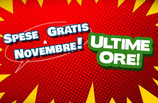 Spese di spedizione gratuite: ultime ore!