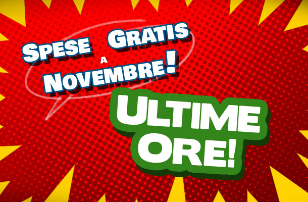 Spese di spedizione gratuite: ultime ore!