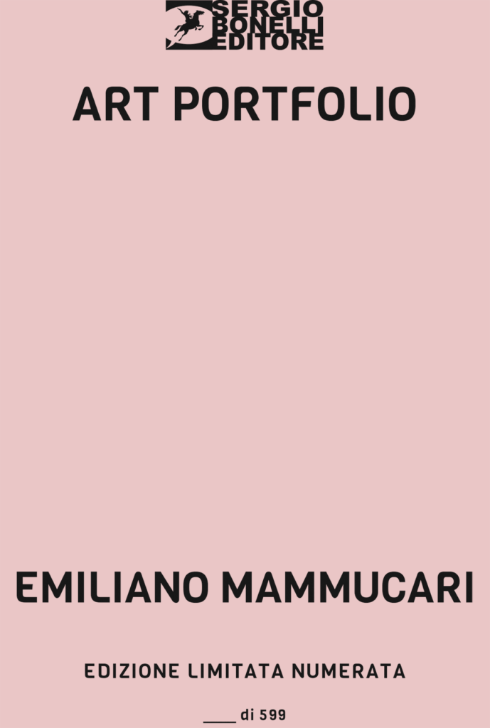 Art Portfolio Emiliano Mammucari
