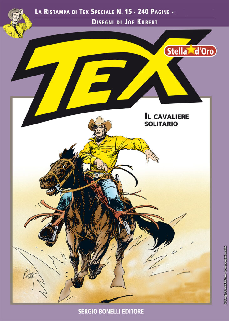 Il cavaliere solitario