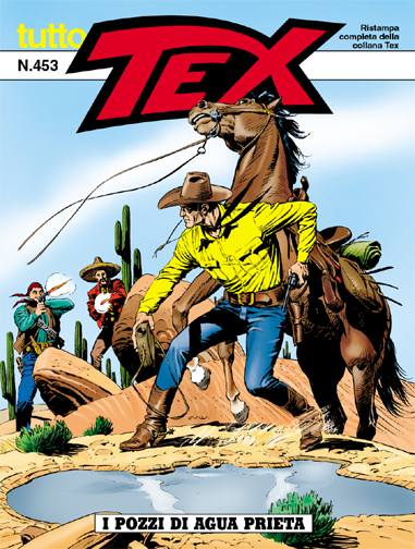 I pozzi di Agua Prieta