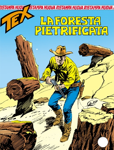 La foresta pietrificata