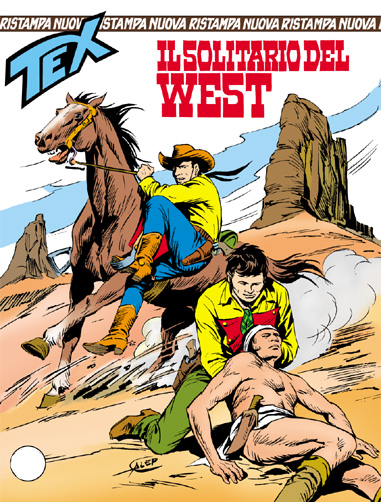 Il solitario del West