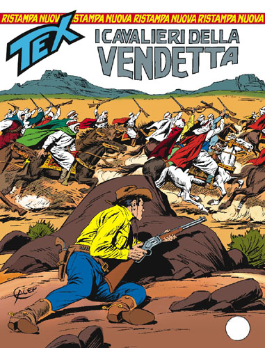 I cavalieri della vendetta