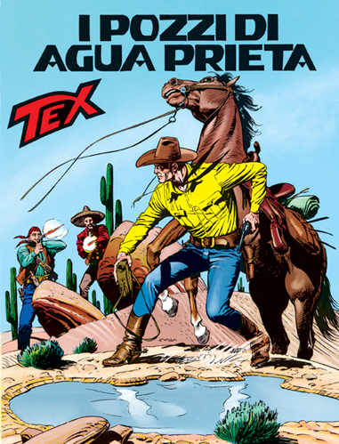 I pozzi di Agua Prieta