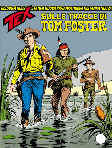 Sulle tracce di Tom Foster