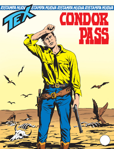 Condor Pass