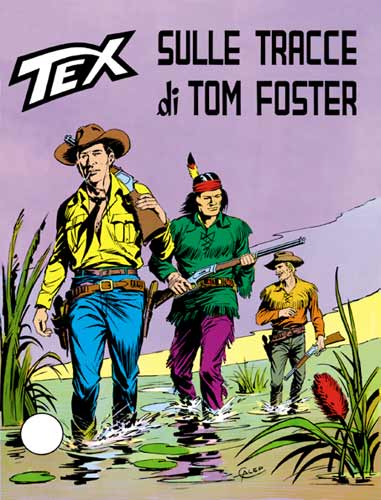 Sulle tracce di Tom Foster