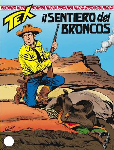 Il sentiero dei Broncos